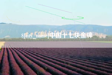 自贡中国十七块金牌