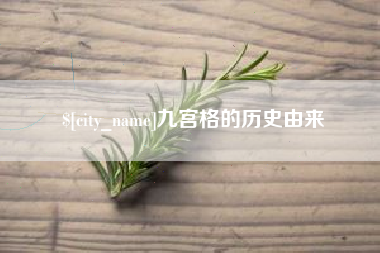 自贡九宫格的历史由来
