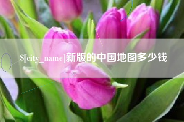 自贡新版的中国地图多少钱