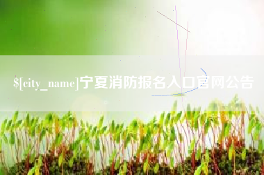 自贡宁夏消防报名入口官网公告