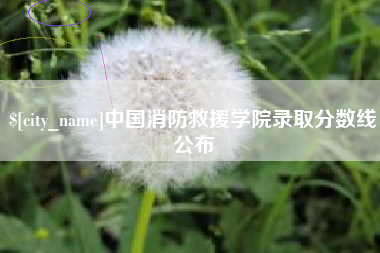 自贡中国消防救援学院录取分数线公布