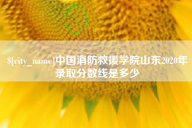 自贡中国消防救援学院山东2020年录取分数线是多少