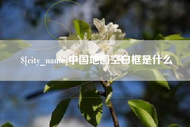 自贡中国地图空白框是什么