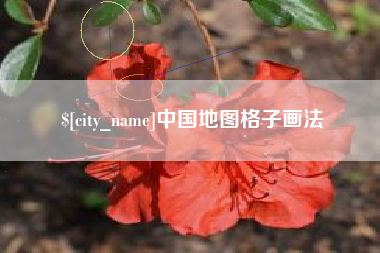 自贡中国地图格子画法