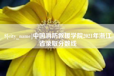 自贡中国消防救援学院2021年浙江省录取分数线