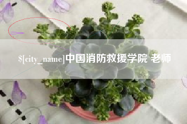 自贡中国消防救援学院 老师