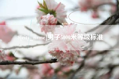 自贡男子5000米等级标准