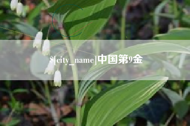 自贡中国第9金
