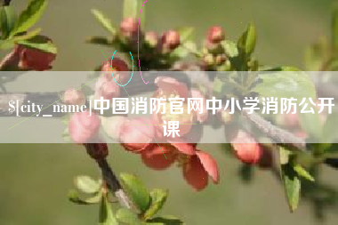 自贡中国消防官网中小学消防公开课