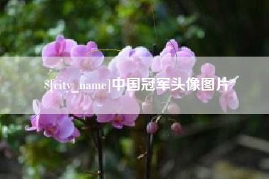 自贡中国冠军头像图片