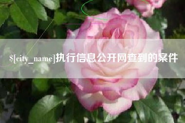 自贡执行信息公开网查到的案件