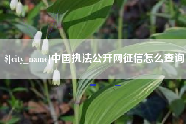 自贡中国执法公开网征信怎么查询