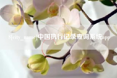 自贡中国执行记录查询系统app