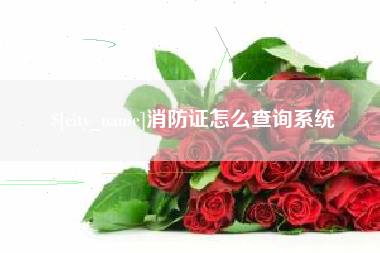 自贡消防证怎么查询系统