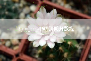 自贡2021消防分数线
