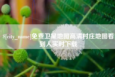 自贡免费卫星地图高清村庄地图看到人实时下载