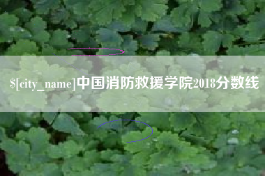 自贡中国消防救援学院2018分数线