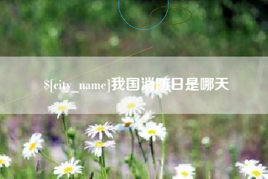 自贡我国消防日是哪天