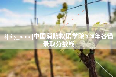 自贡中国消防救援学院2020年各省录取分数线