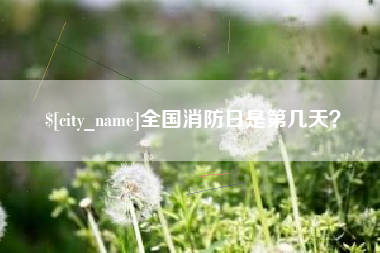 自贡全国消防日是第几天？
