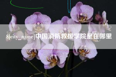 自贡中国消防救援学院是在哪里