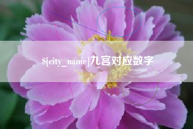 自贡九宫对应数字