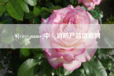 自贡中囯消防产品信息网