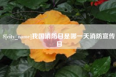 自贡我国消防日是哪一天消防宣传日
