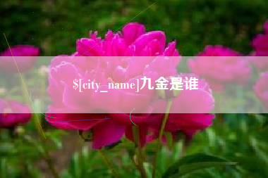自贡九金是谁