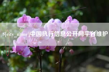 自贡中国执行信息公开网平台维护