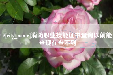 自贡消防职业技能证书查询以前能查现在查不到