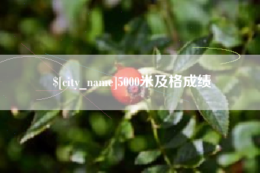 自贡5000米及格成绩
