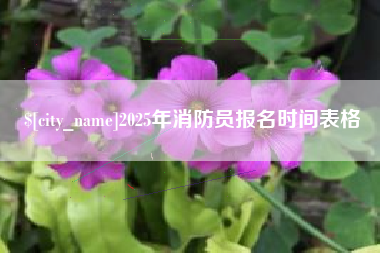 自贡2025年消防员报名时间表格