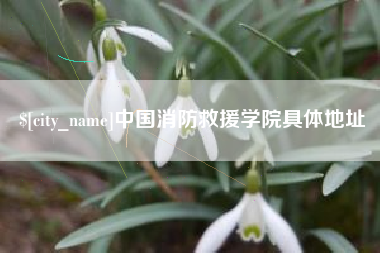 自贡中国消防救援学院具体地址