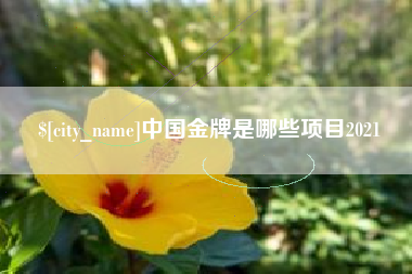 自贡中国金牌是哪些项目2021