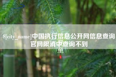 自贡中国执行信息公开网信息查询官网限消中查询不到