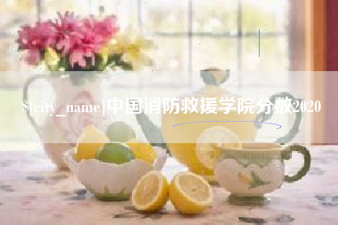 自贡中国消防救援学院分数2020