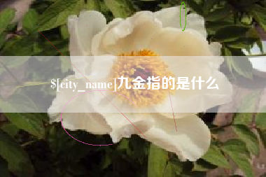 自贡九金指的是什么
