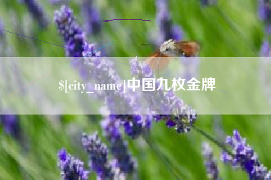 自贡中国九枚金牌