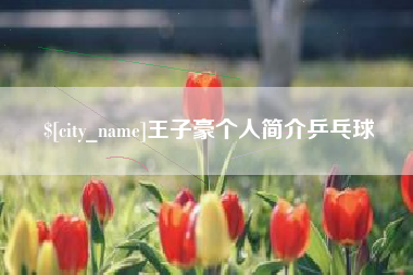 自贡王子豪个人简介乒乓球