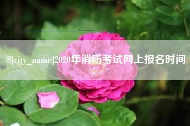 自贡2020年消防考试网上报名时间