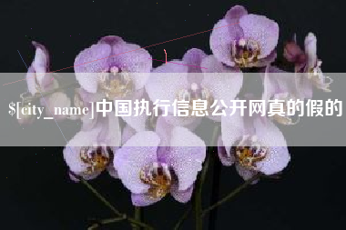 自贡中国执行信息公开网真的假的