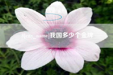自贡我国多少个金牌
