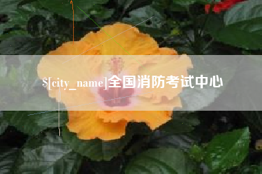自贡全国消防考试中心