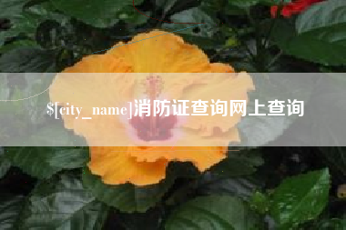 自贡消防证查询网上查询
