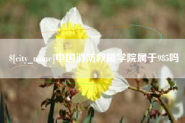 自贡中国消防救援学院属于985吗