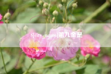 自贡第九金是