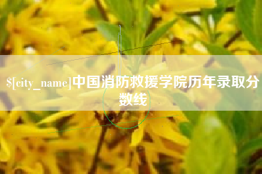 自贡中国消防救援学院历年录取分数线