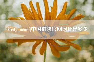 自贡中国消防官网网址是多少