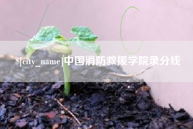 自贡中国消防救援学院录分线